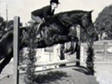 Equitation on 'Cowboy' 1982